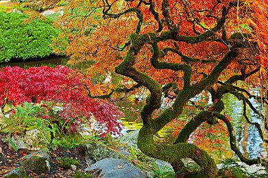 《漫威蜘蛛侠2》全球销量已超1100万套